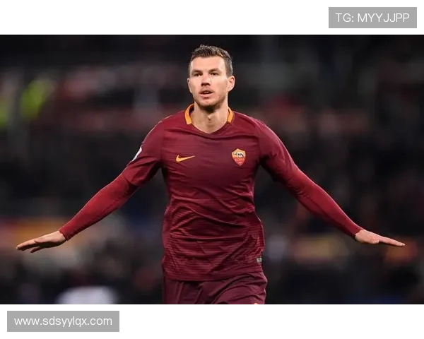 哲科到理查森佛罗伦萨转会轨迹